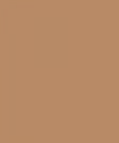 fons beige